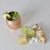 The Moscow Mule